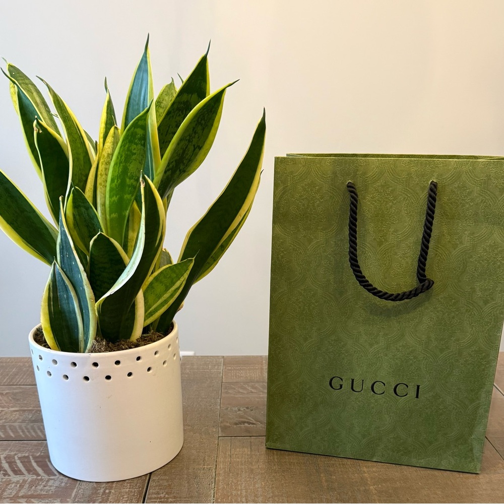 Gucci Tote Shopping Bag Shoe Bag 10 x 13.5 x 5.5 Excellent Condition